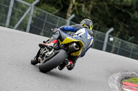 PJM-Photography;anglesey;brands-hatch;cadwell-park;croft;donington-park;enduro-digital-images;event-digital-images;eventdigitalimages;mallory;no-limits;oulton-park;peter-wileman-photography;racing-digital-images;silverstone;snetterton;trackday-digital-images;trackday-photos;vmcc-banbury-run;welsh-2-day-enduro